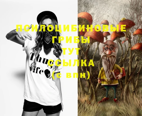 a pvp Богородицк