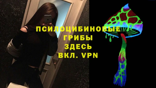 бошки Богданович